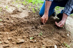 A Greener Approach to Growing