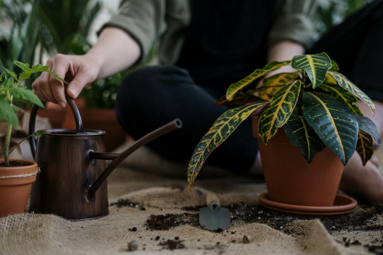 A Greener Approach to Growing