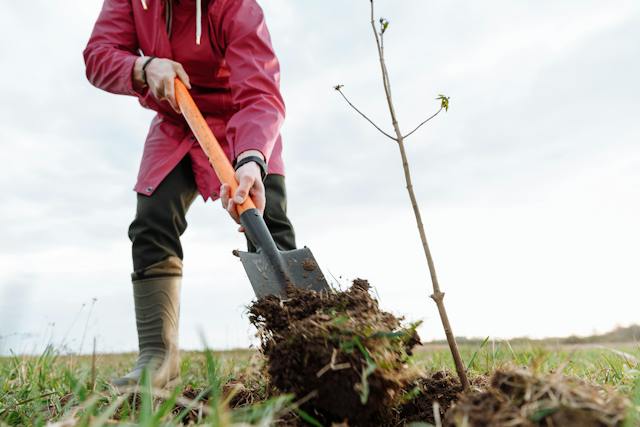 A Greener Approach to Growing